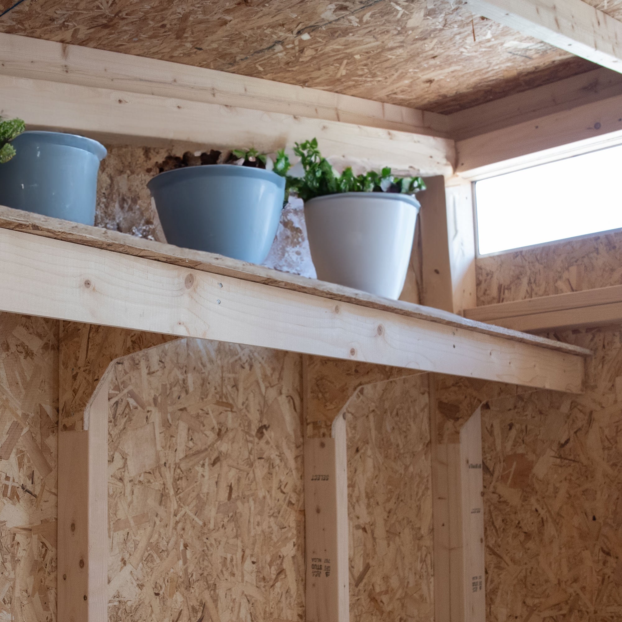 close up of the shelf with flower pots on top