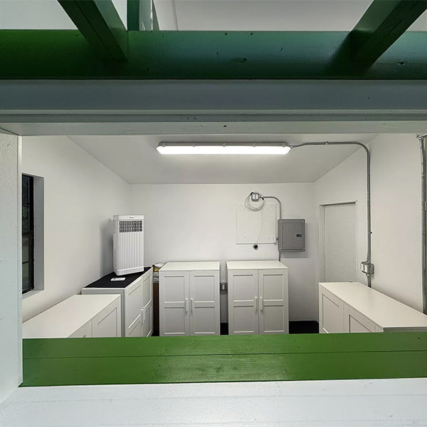Modern kitchen with white cabinets and green beams inside bar shed